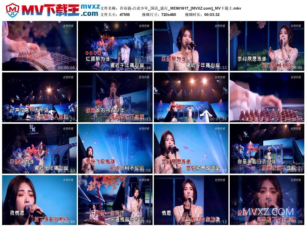 许诗茵-白衣少年_国语_流行_ME901617